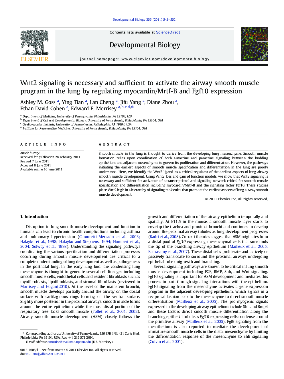 Wnt2 signaling is necessary and sufficient to activate the airway smooth muscle program in the lung by regulating myocardin/Mrtf-B and Fgf10 expression