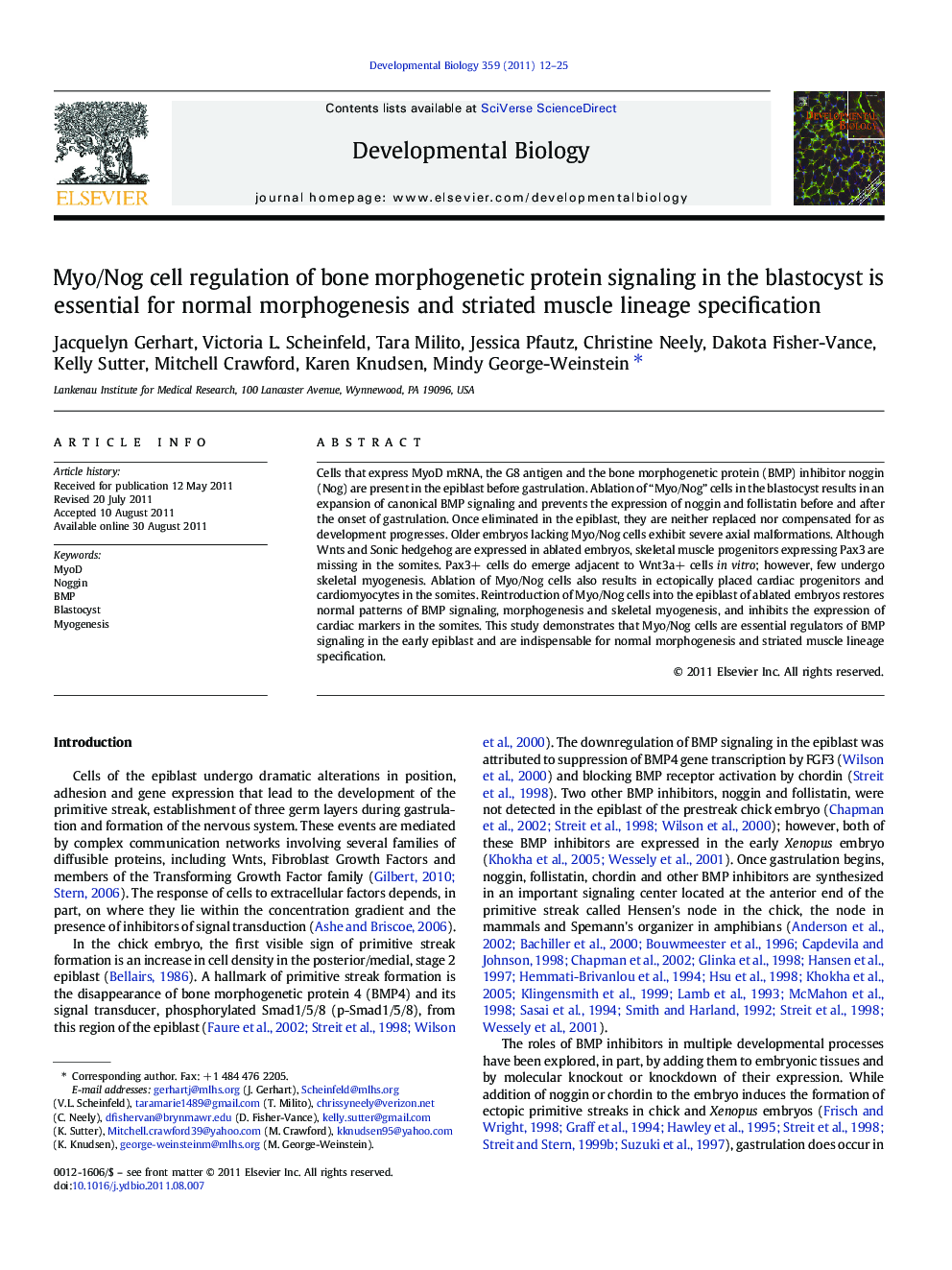 Myo/Nog cell regulation of bone morphogenetic protein signaling in the blastocyst is essential for normal morphogenesis and striated muscle lineage specification