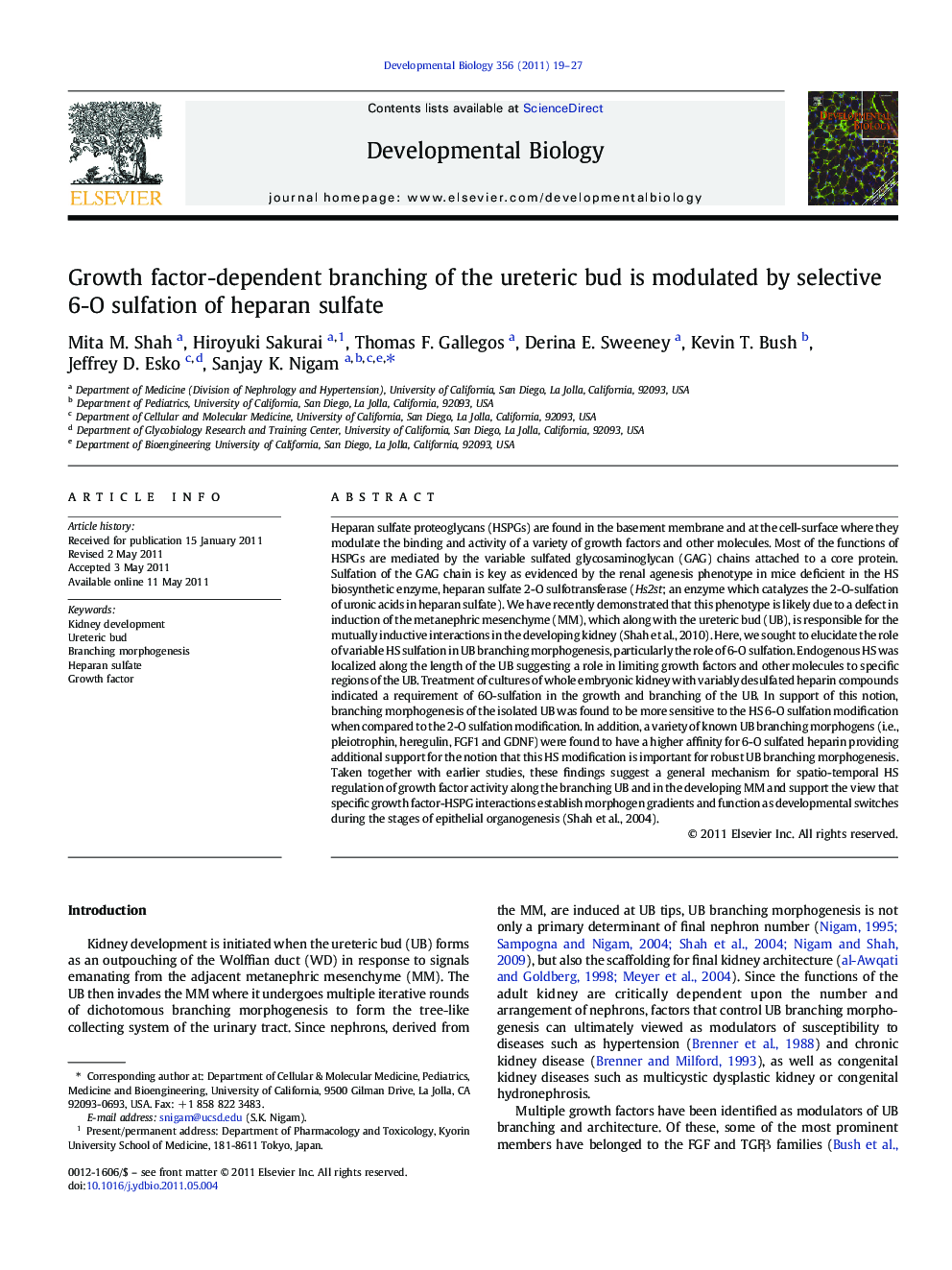 Growth factor-dependent branching of the ureteric bud is modulated by selective 6-O sulfation of heparan sulfate