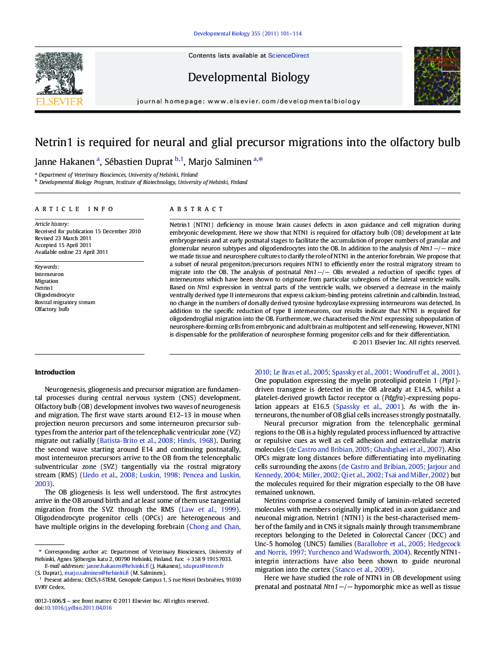 Netrin1 is required for neural and glial precursor migrations into the olfactory bulb