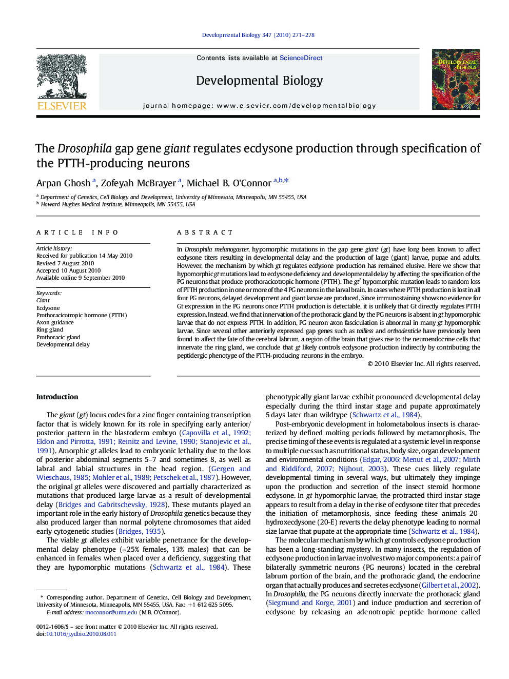 The Drosophila gap gene giant regulates ecdysone production through specification of the PTTH-producing neurons