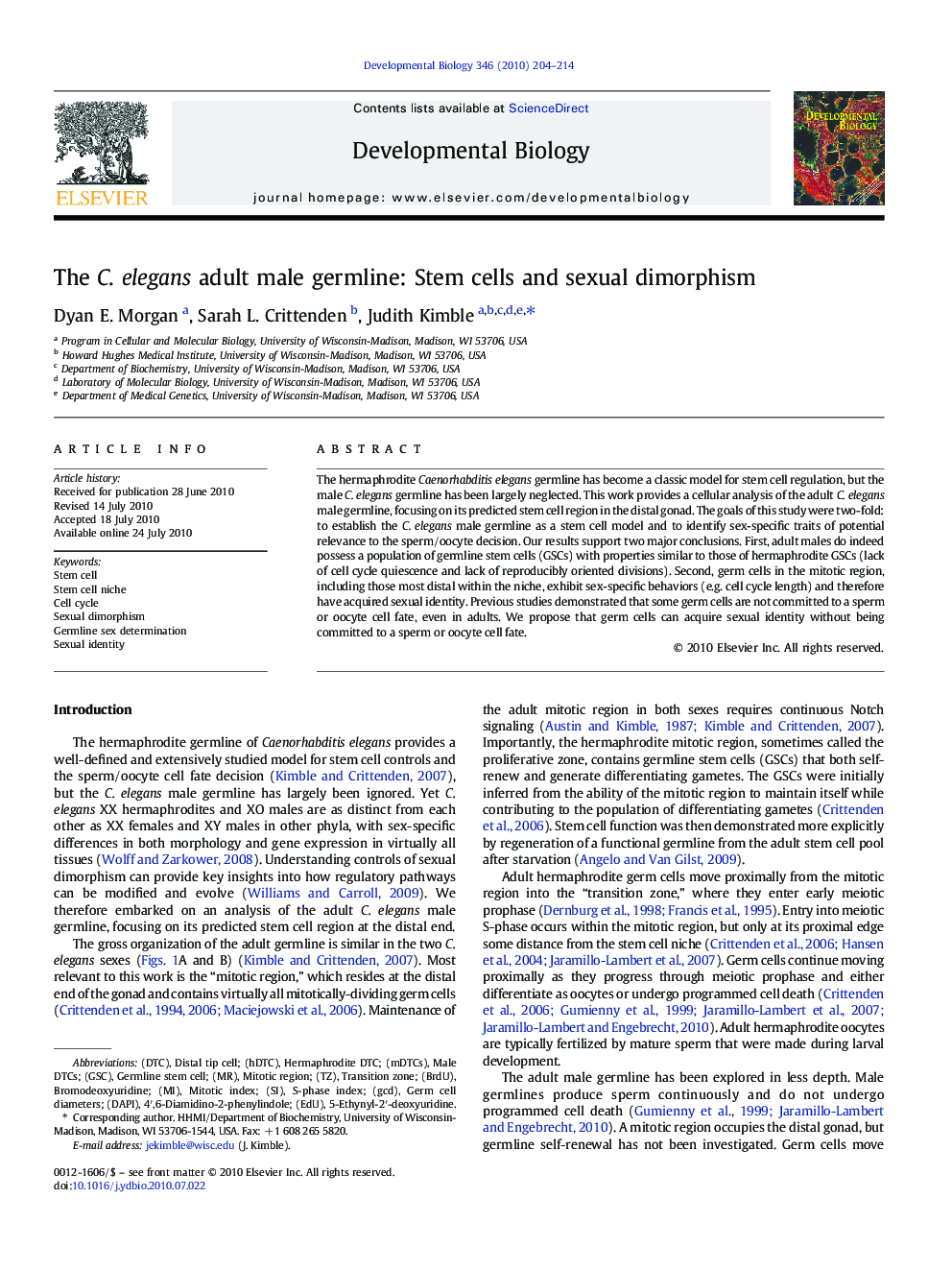 The C. elegans adult male germline: Stem cells and sexual dimorphism