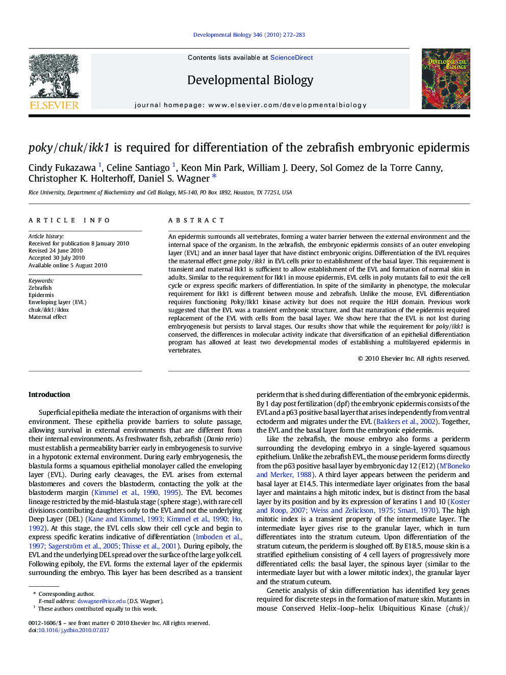 poky/chuk/ikk1 is required for differentiation of the zebrafish embryonic epidermis