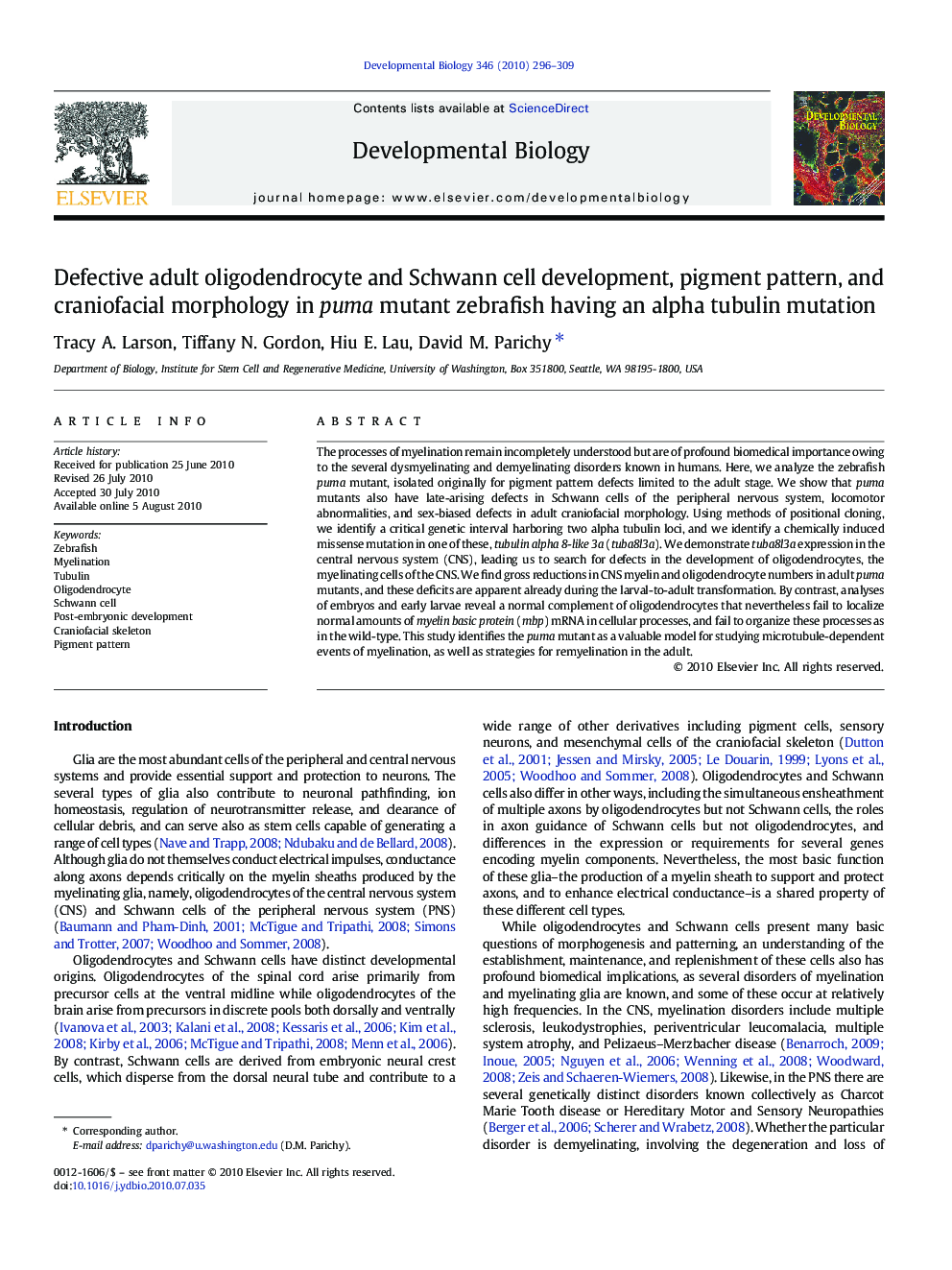 Defective adult oligodendrocyte and Schwann cell development, pigment pattern, and craniofacial morphology in puma mutant zebrafish having an alpha tubulin mutation