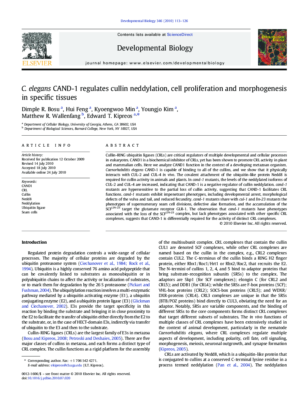 C. elegans CAND-1 regulates cullin neddylation, cell proliferation and morphogenesis in specific tissues