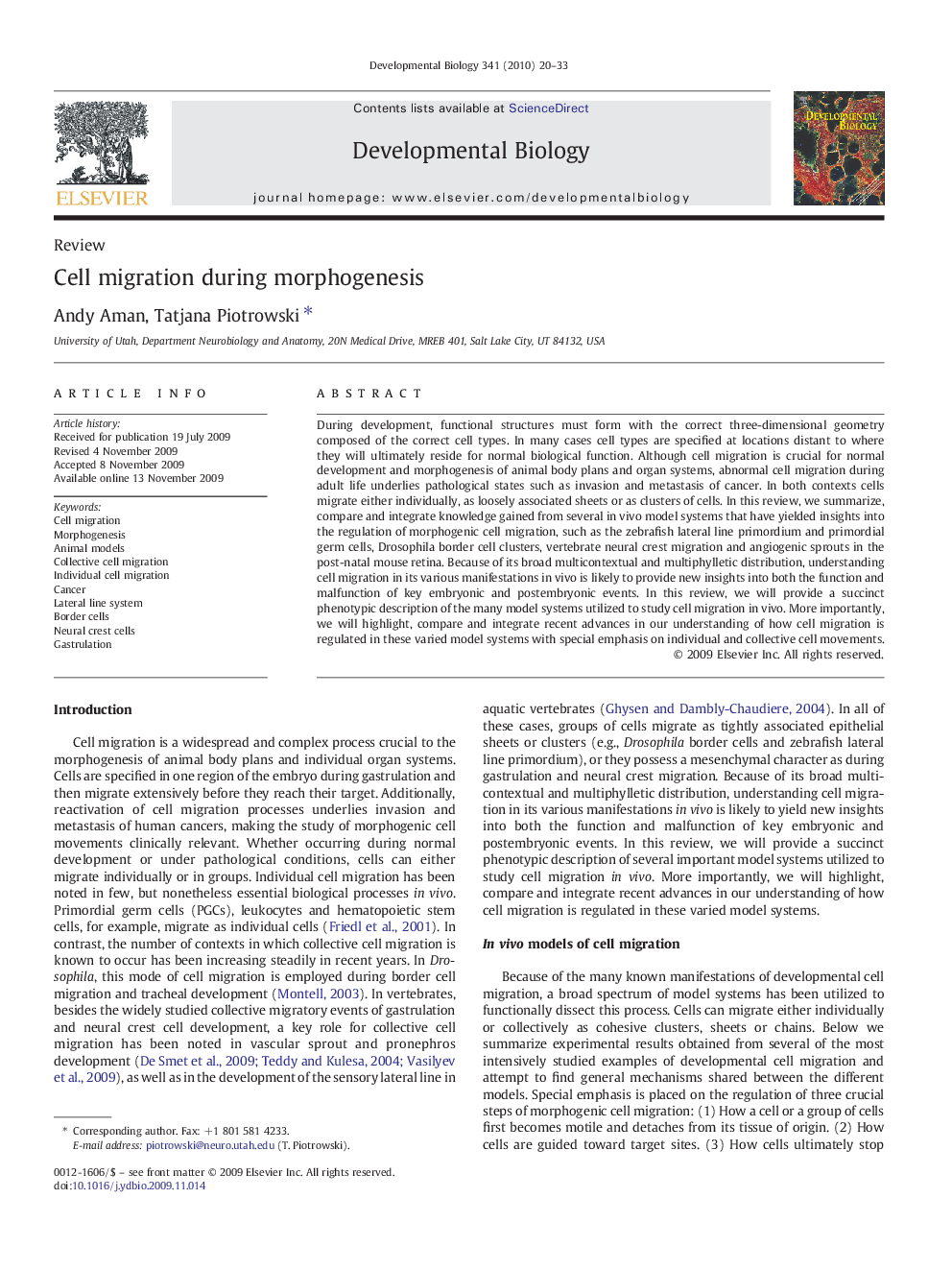 Cell migration during morphogenesis