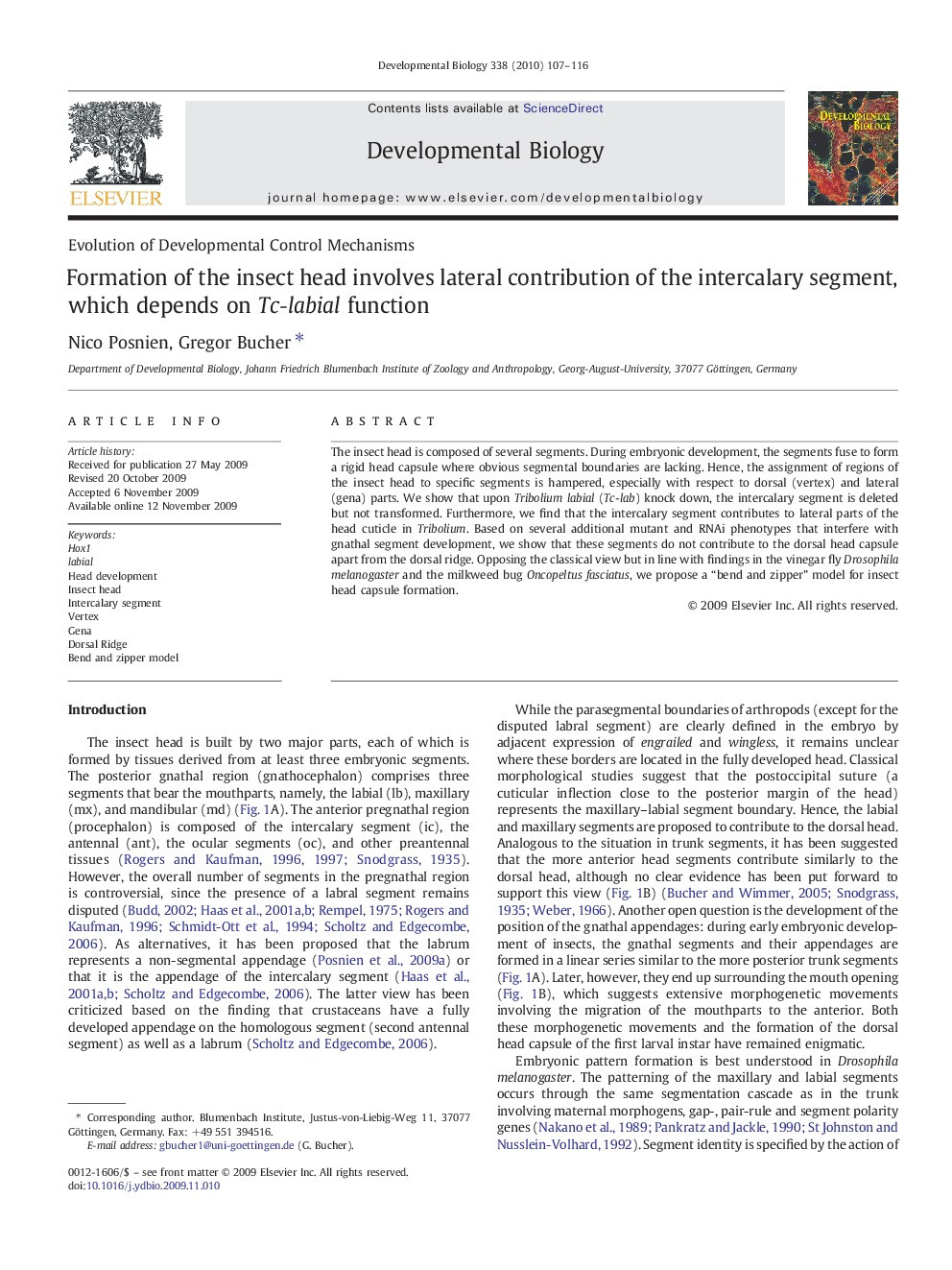 Formation of the insect head involves lateral contribution of the intercalary segment, which depends on Tc-labial function