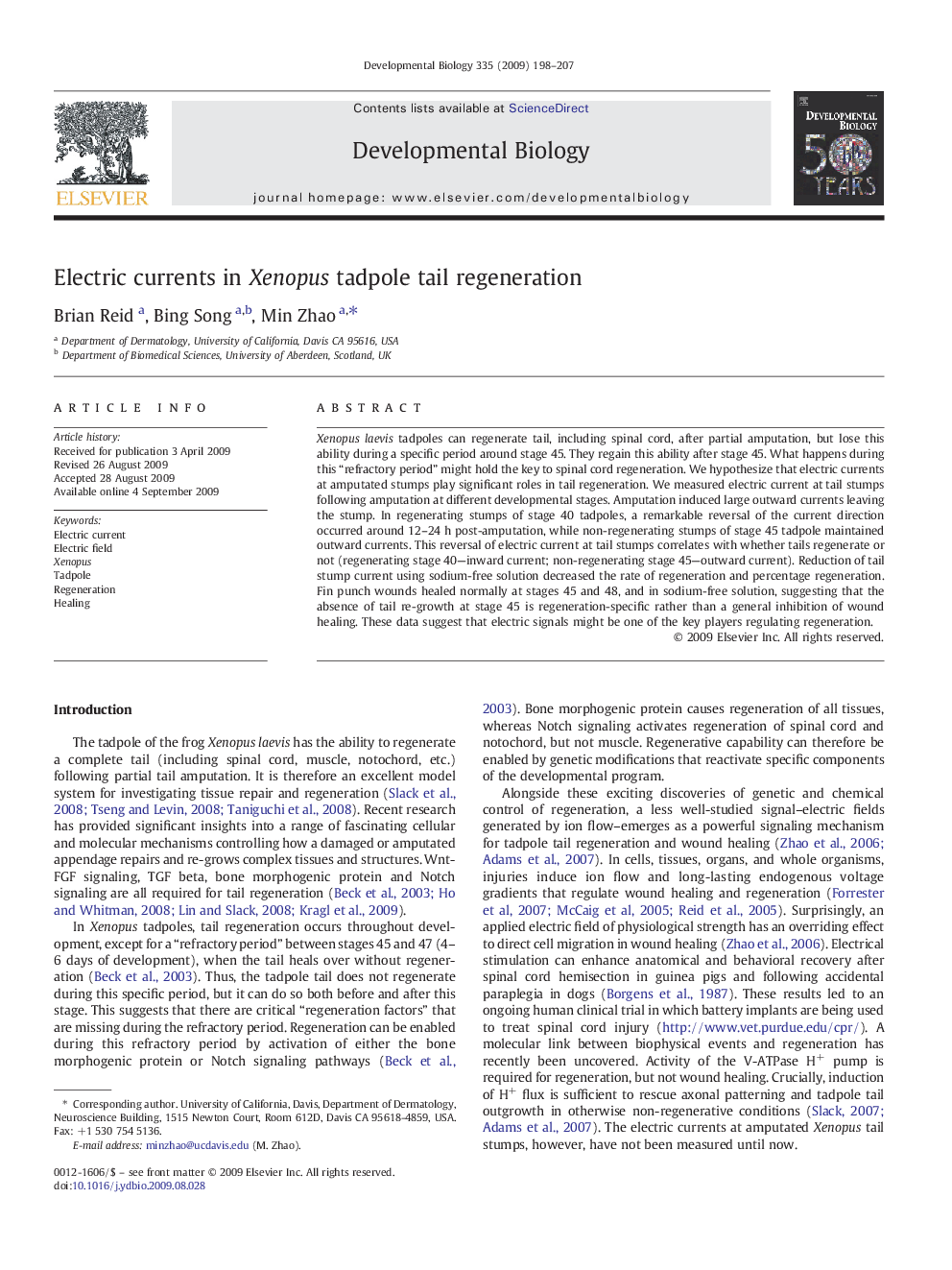 Electric currents in Xenopus tadpole tail regeneration