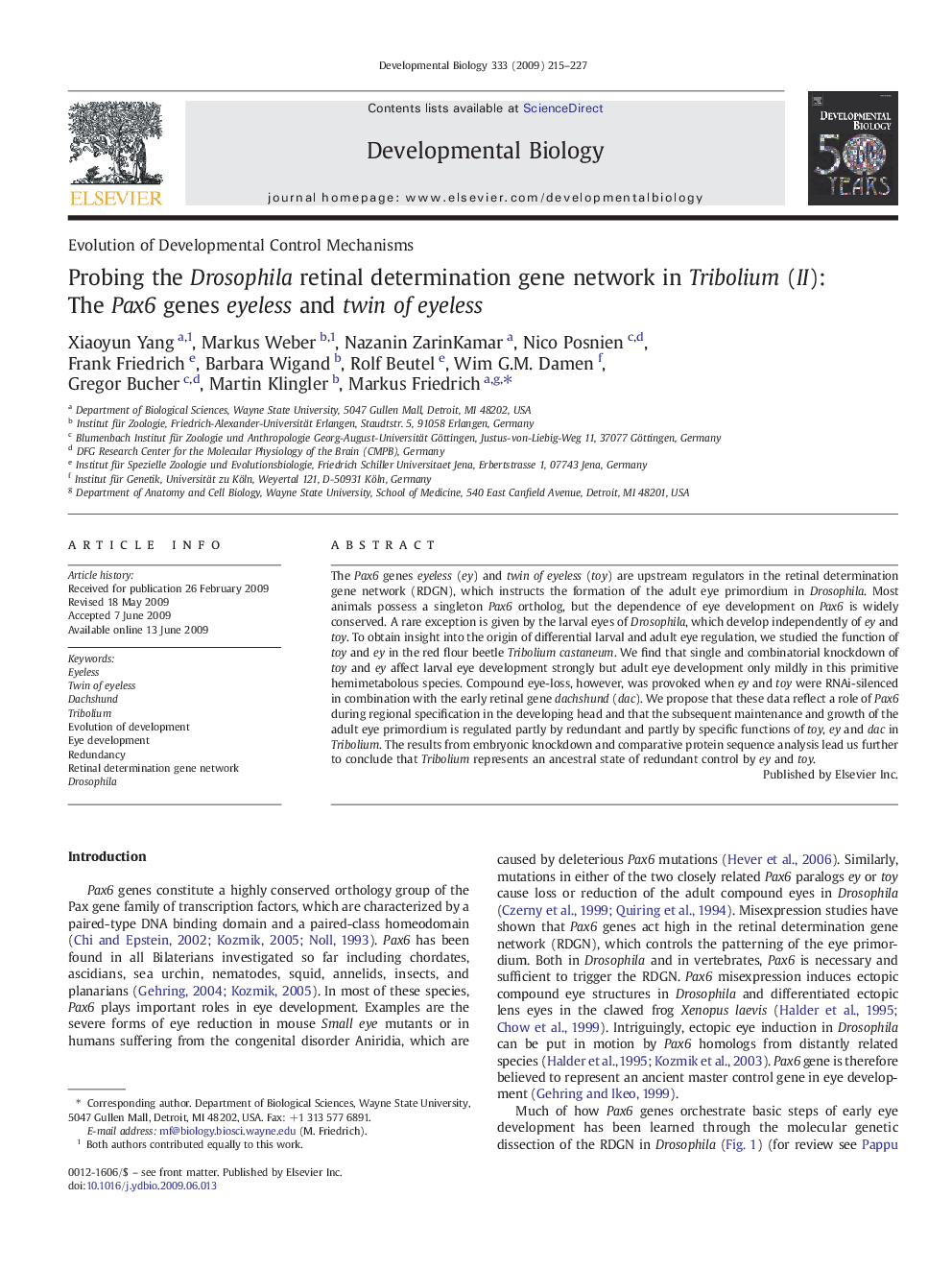 Probing the Drosophila retinal determination gene network in Tribolium (II): The Pax6 genes eyeless and twin of eyeless