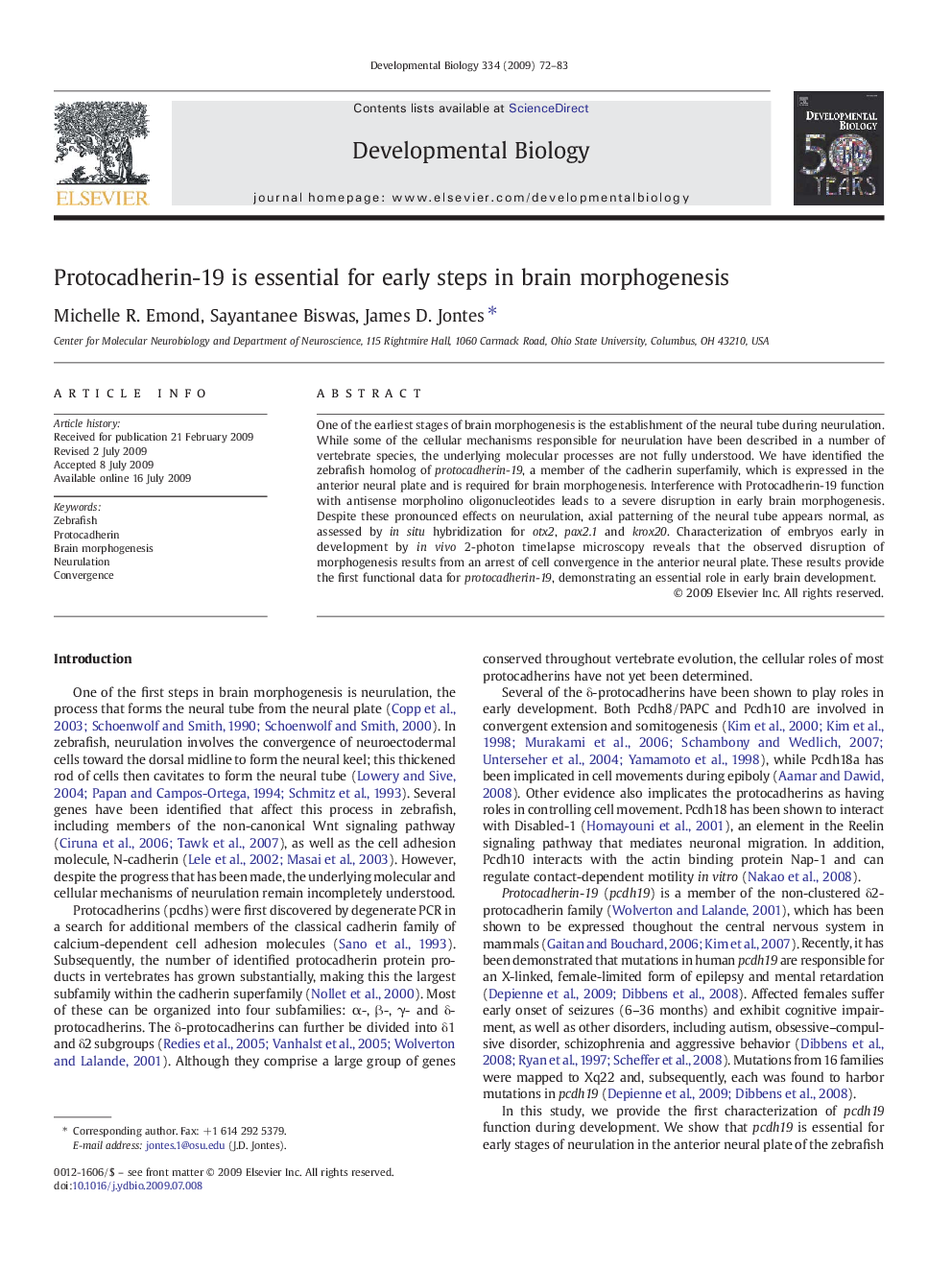 Protocadherin-19 is essential for early steps in brain morphogenesis