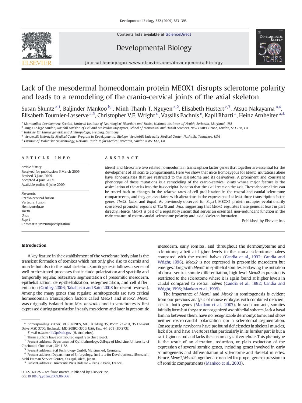 Lack of the mesodermal homeodomain protein MEOX1 disrupts sclerotome polarity and leads to a remodeling of the cranio-cervical joints of the axial skeleton