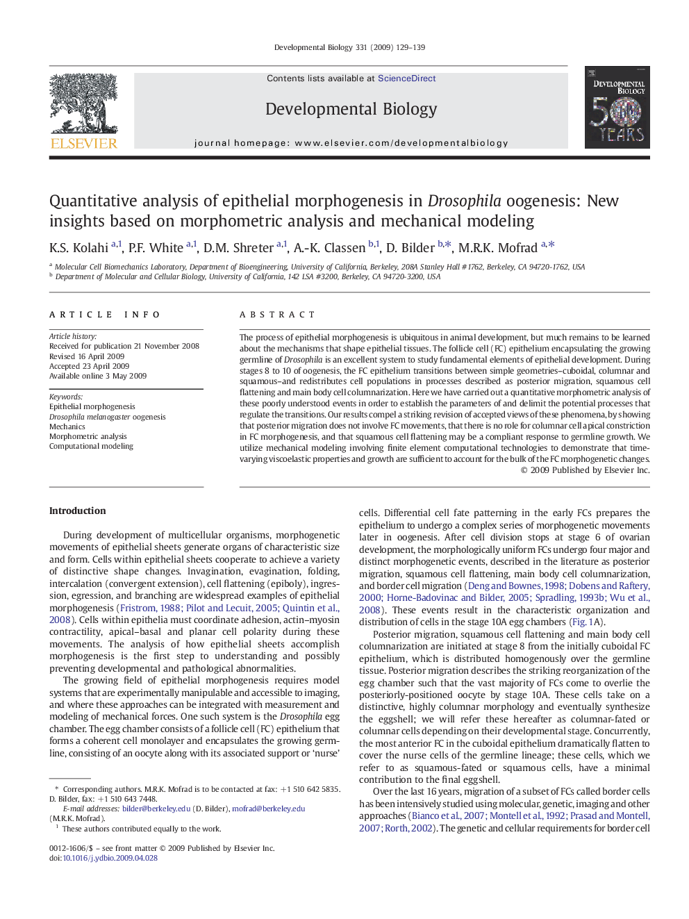 Quantitative analysis of epithelial morphogenesis in Drosophila oogenesis: New insights based on morphometric analysis and mechanical modeling