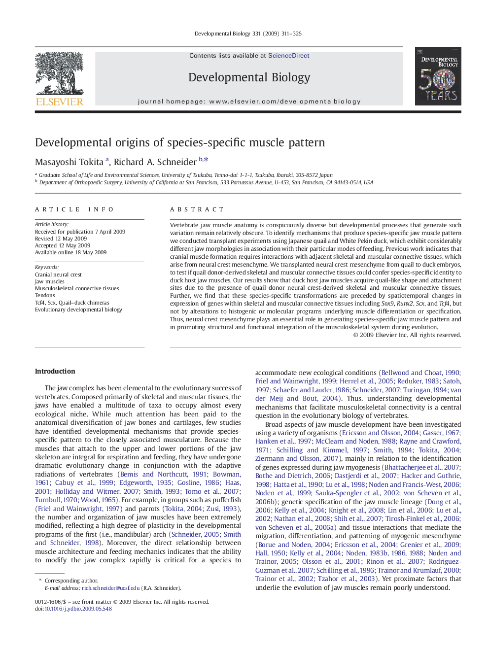 Developmental origins of species-specific muscle pattern