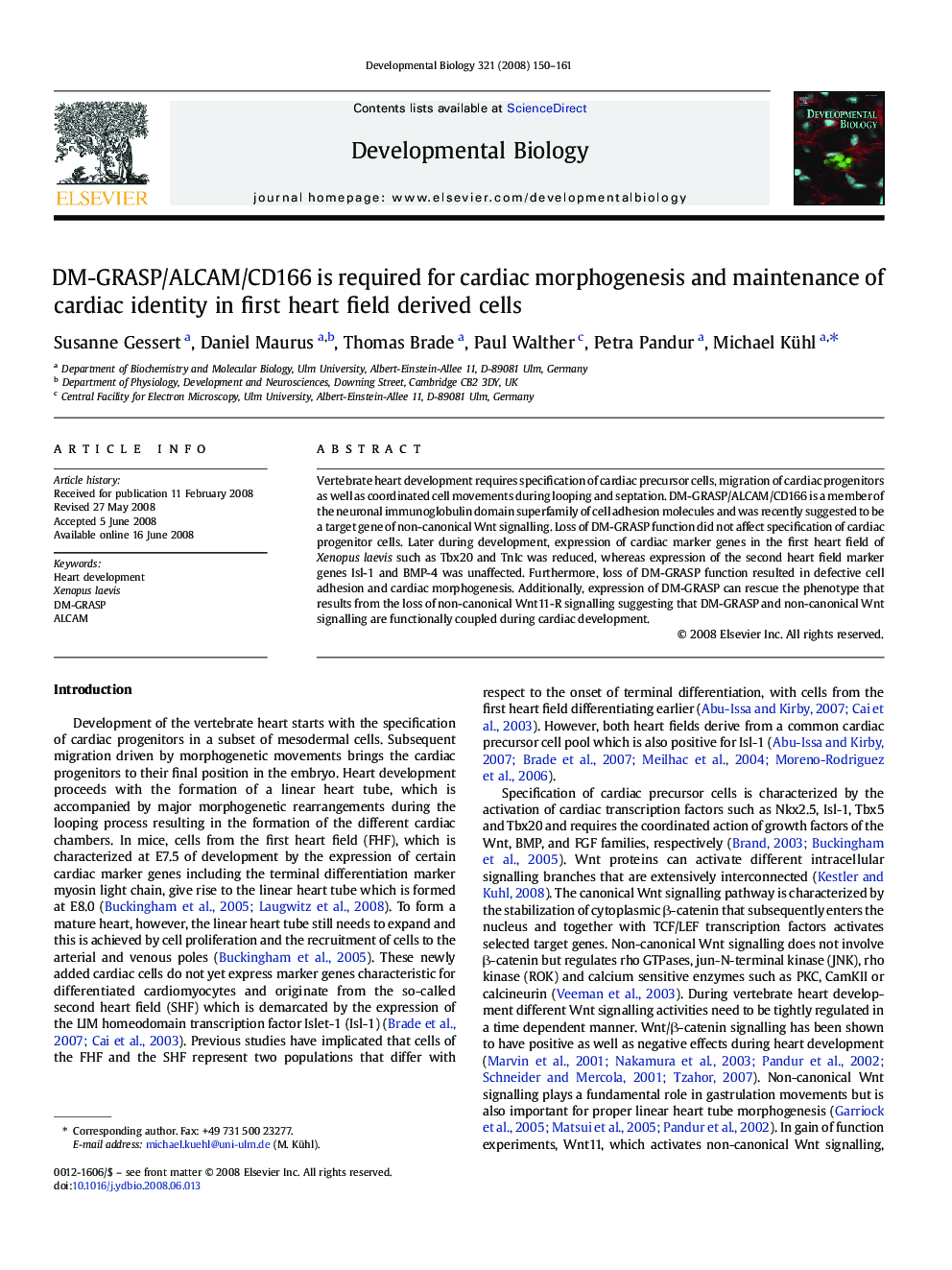 DM-GRASP/ALCAM/CD166 is required for cardiac morphogenesis and maintenance of cardiac identity in first heart field derived cells