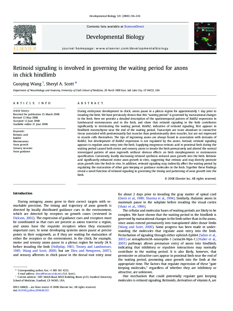 Retinoid signaling is involved in governing the waiting period for axons in chick hindlimb