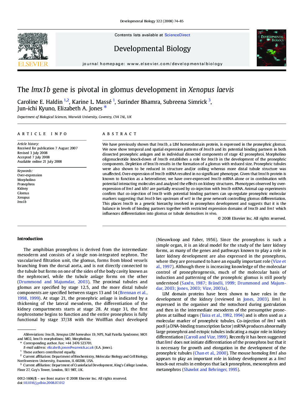 The lmx1b gene is pivotal in glomus development in Xenopus laevis