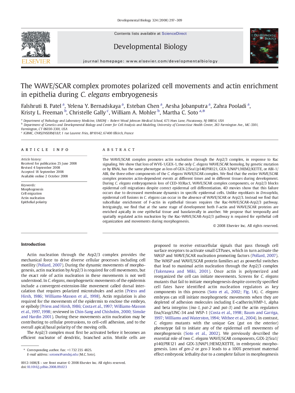 The WAVE/SCAR complex promotes polarized cell movements and actin enrichment in epithelia during C. elegans embryogenesis