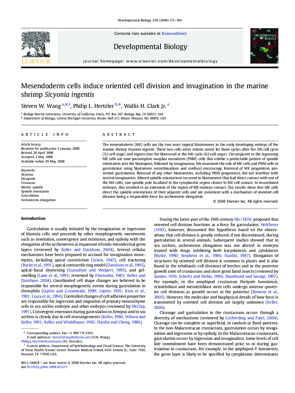 Mesendoderm cells induce oriented cell division and invagination in the marine shrimp Sicyonia ingentis