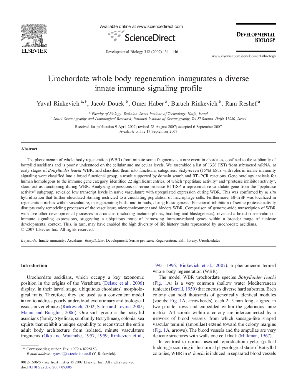 Urochordate whole body regeneration inaugurates a diverse innate immune signaling profile