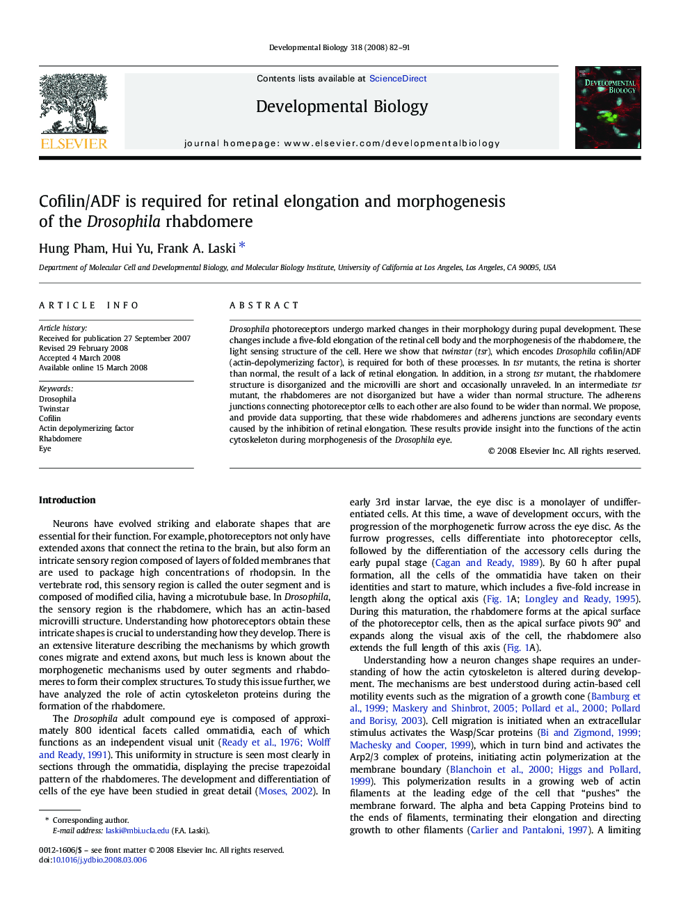 Cofilin/ADF is required for retinal elongation and morphogenesis of the Drosophila rhabdomere