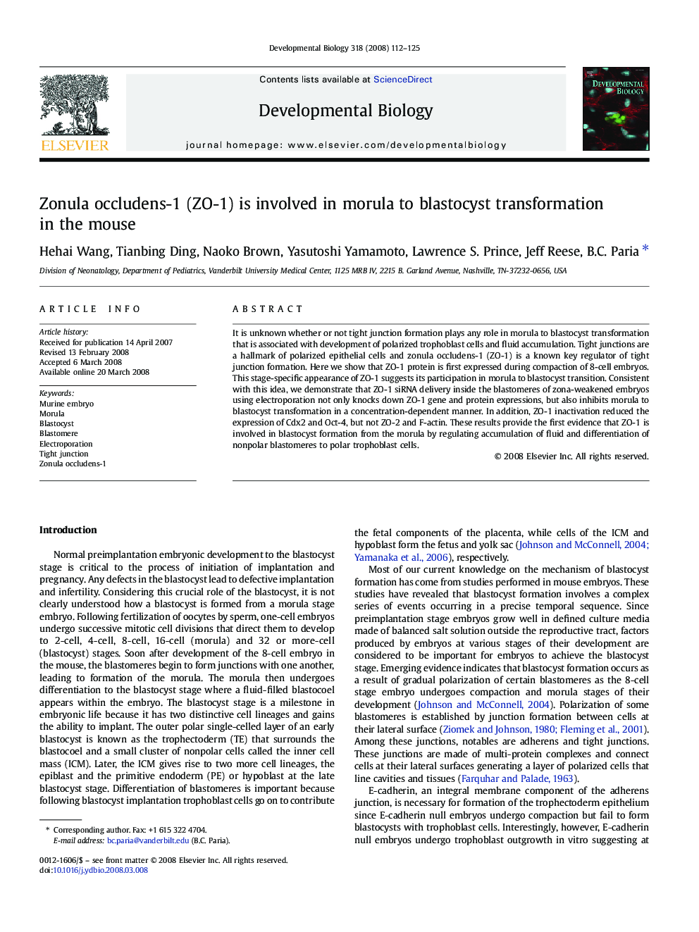 Zonula occludens-1 (ZO-1) is involved in morula to blastocyst transformation in the mouse