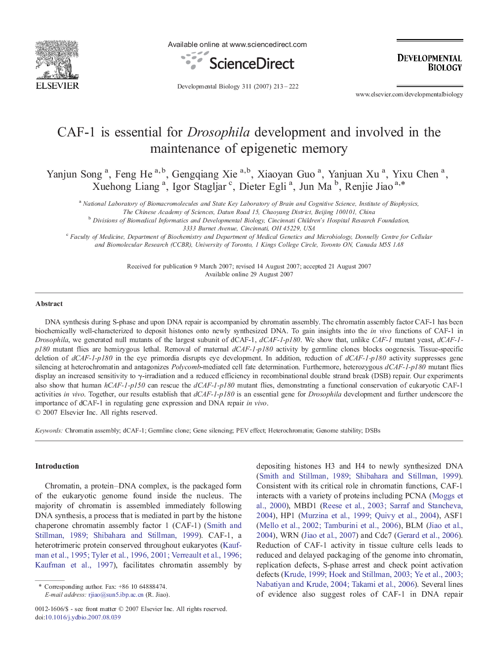 CAF-1 is essential for Drosophila development and involved in the maintenance of epigenetic memory