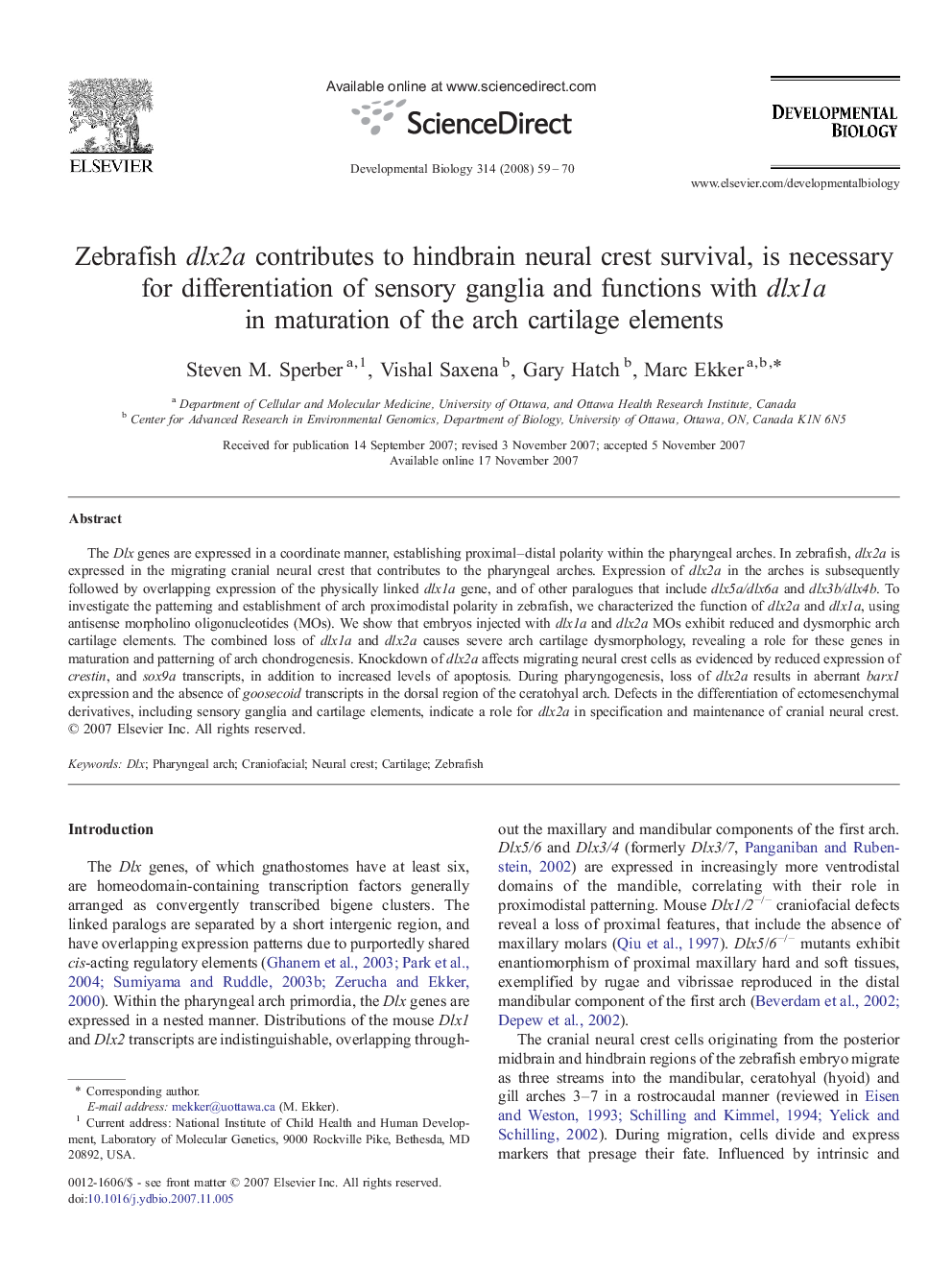 Zebrafish dlx2a contributes to hindbrain neural crest survival, is necessary for differentiation of sensory ganglia and functions with dlx1a in maturation of the arch cartilage elements