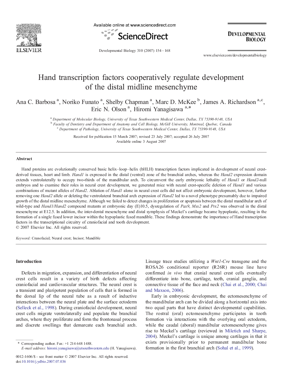 Hand transcription factors cooperatively regulate development of the distal midline mesenchyme