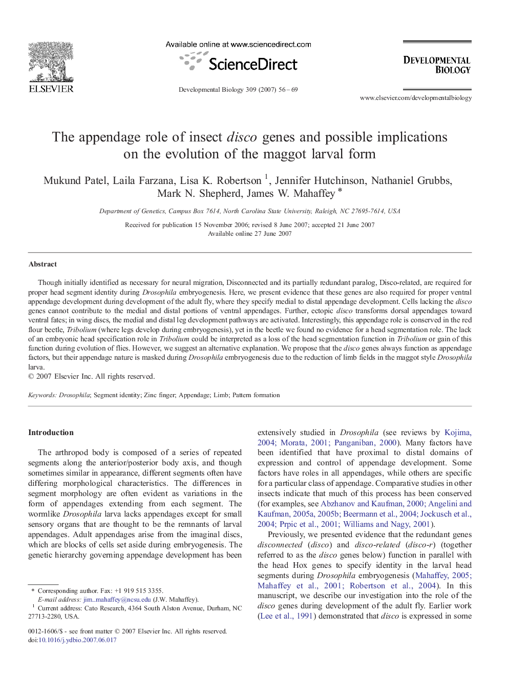 The appendage role of insect disco genes and possible implications on the evolution of the maggot larval form