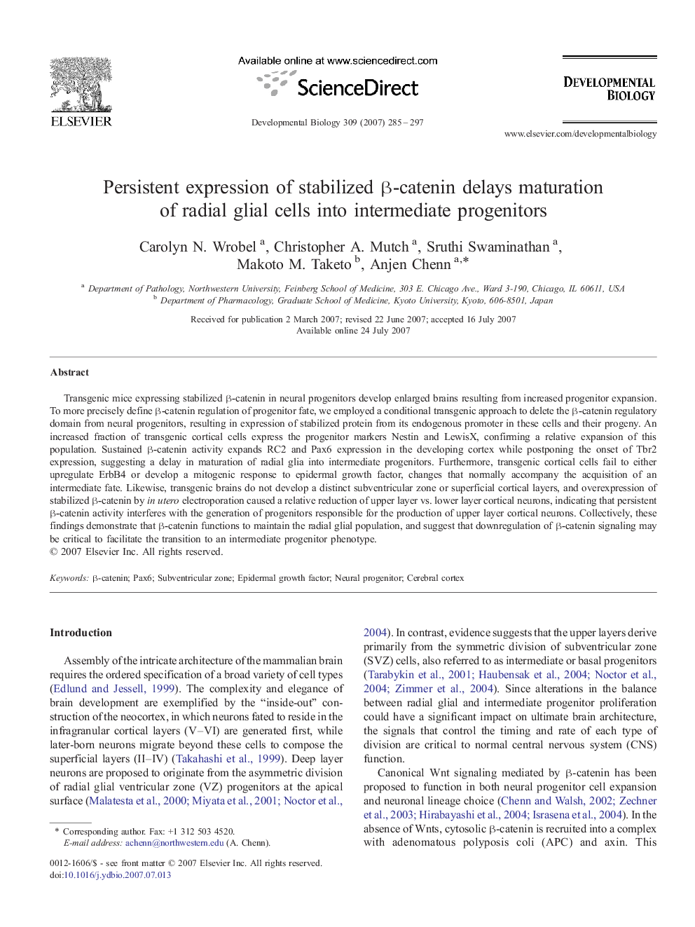 Persistent expression of stabilized β-catenin delays maturation of radial glial cells into intermediate progenitors