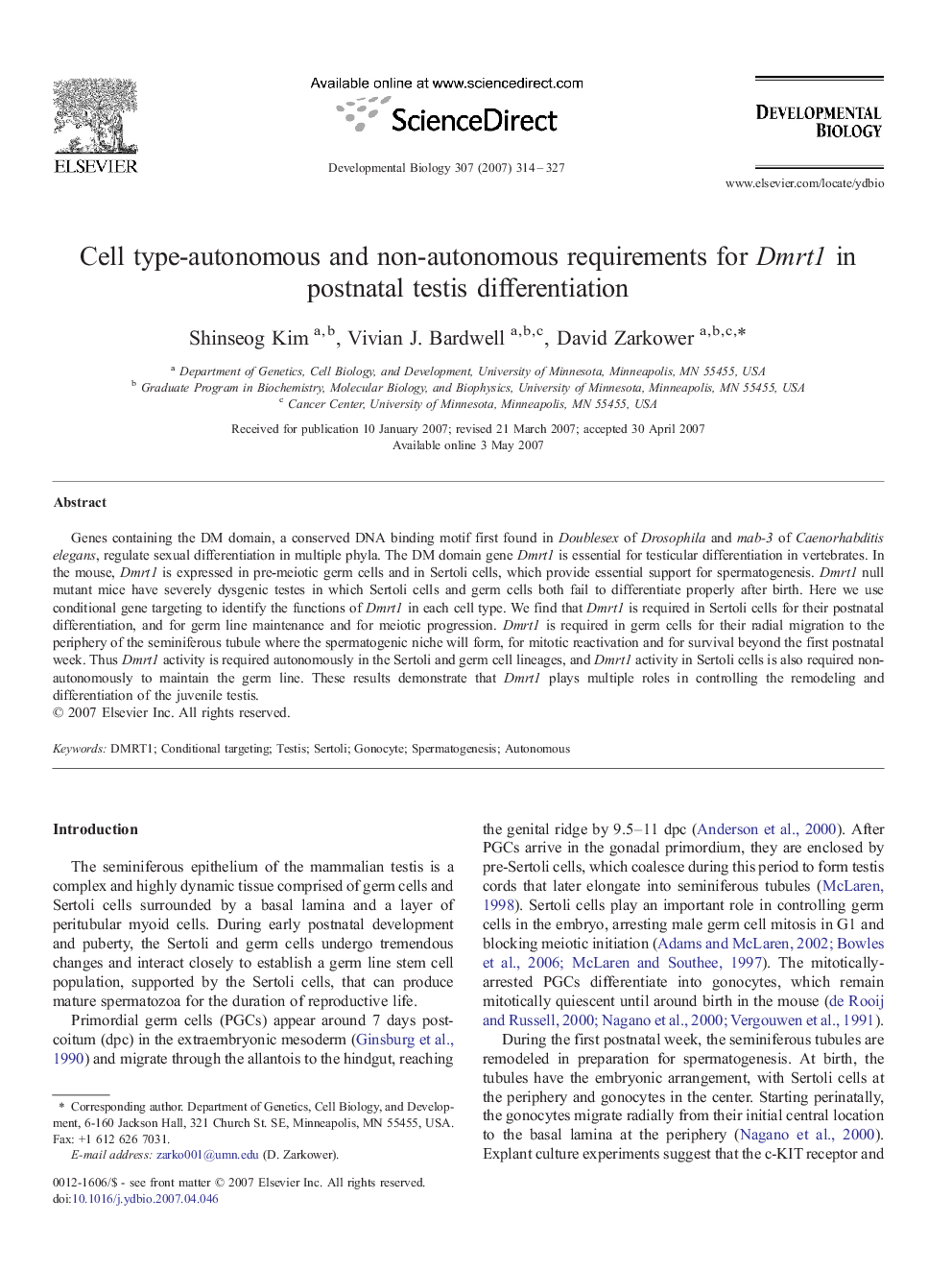 Cell type-autonomous and non-autonomous requirements for Dmrt1 in postnatal testis differentiation