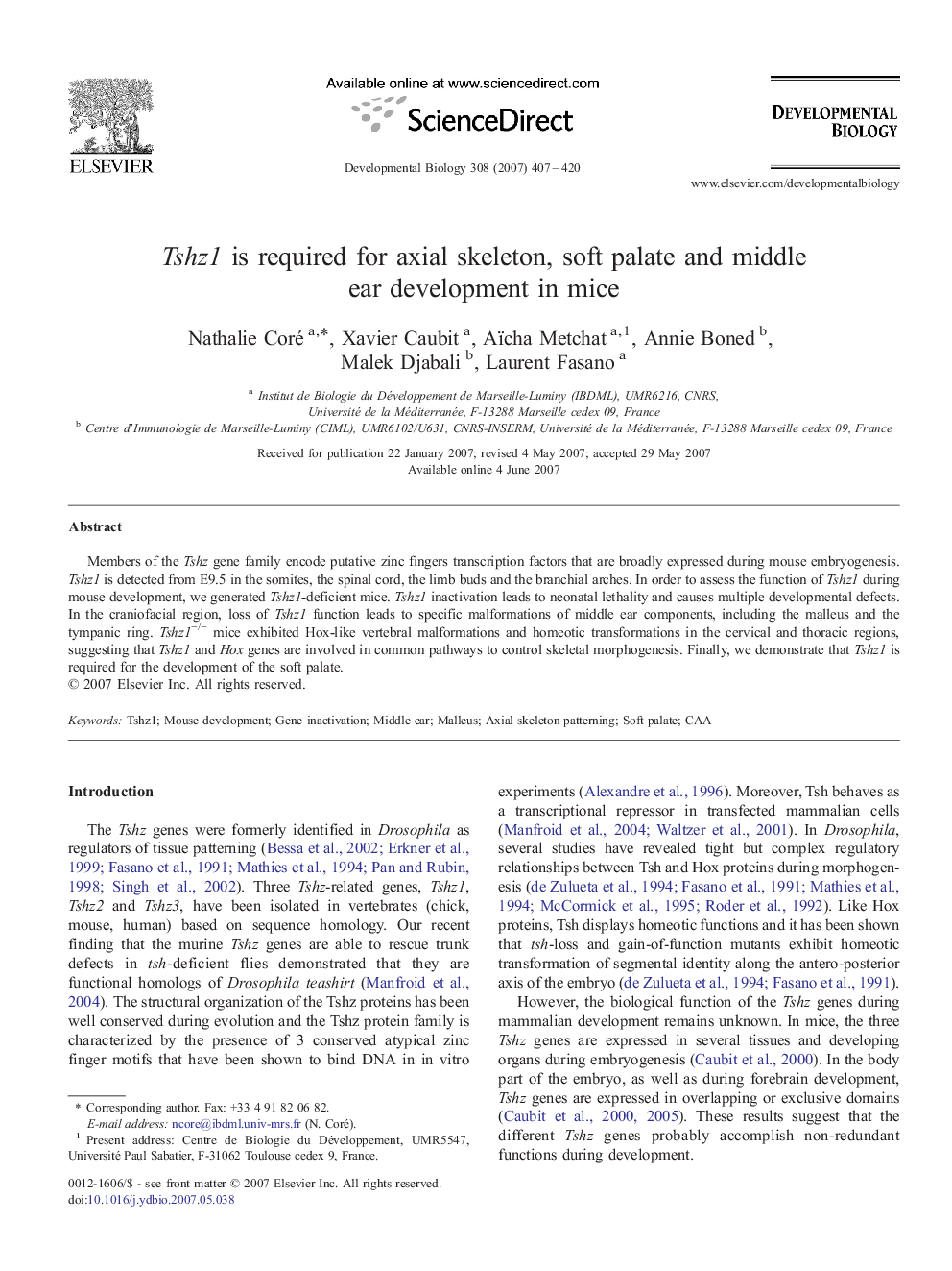 Tshz1 is required for axial skeleton, soft palate and middle ear development in mice