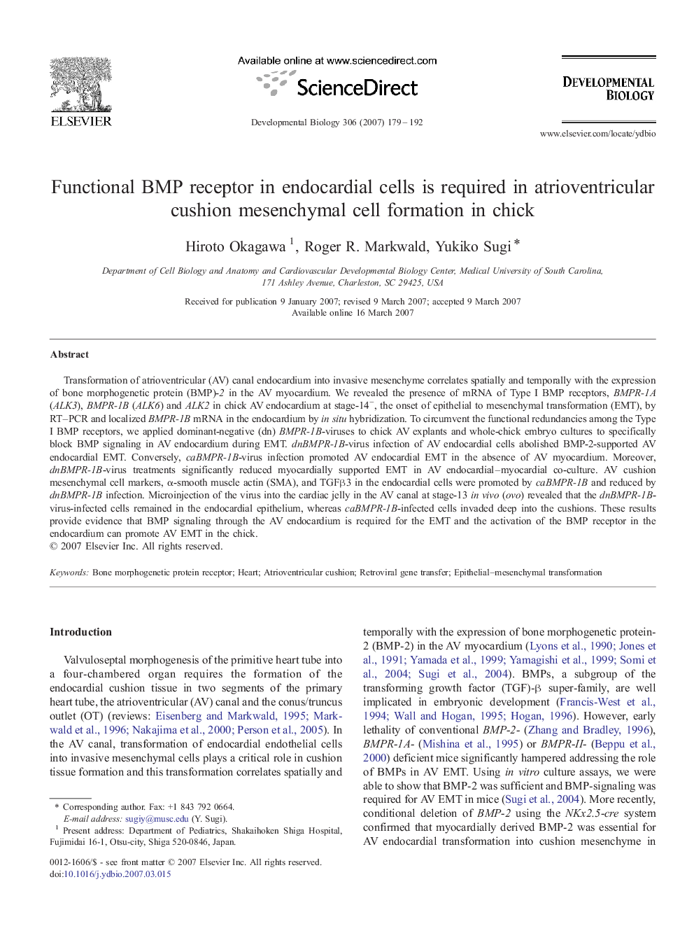 Functional BMP receptor in endocardial cells is required in atrioventricular cushion mesenchymal cell formation in chick