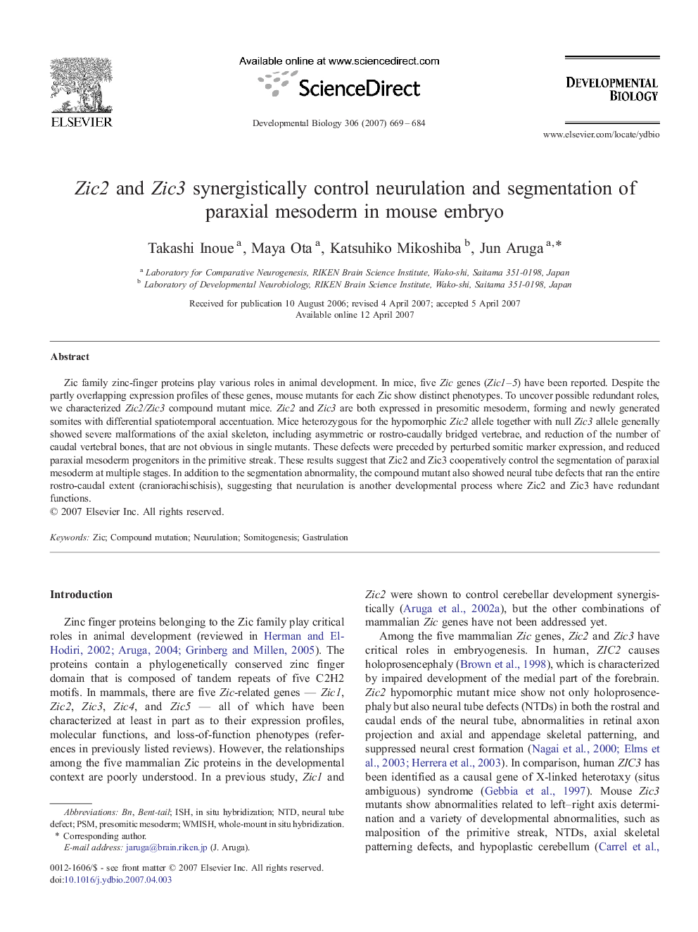 Zic2 and Zic3 synergistically control neurulation and segmentation of paraxial mesoderm in mouse embryo