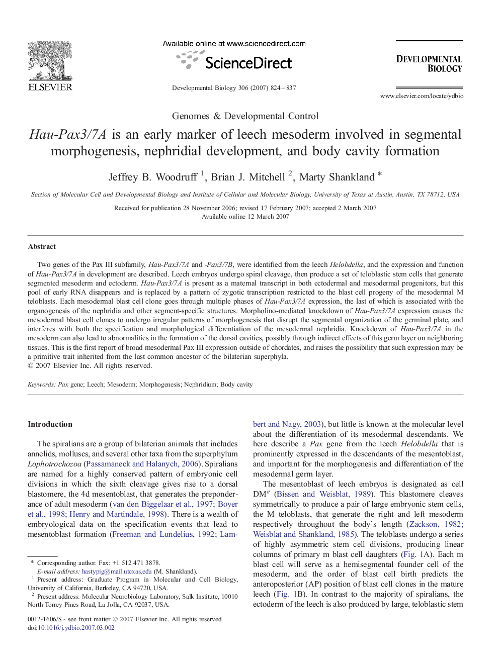 Hau-Pax3/7A is an early marker of leech mesoderm involved in segmental morphogenesis, nephridial development, and body cavity formation