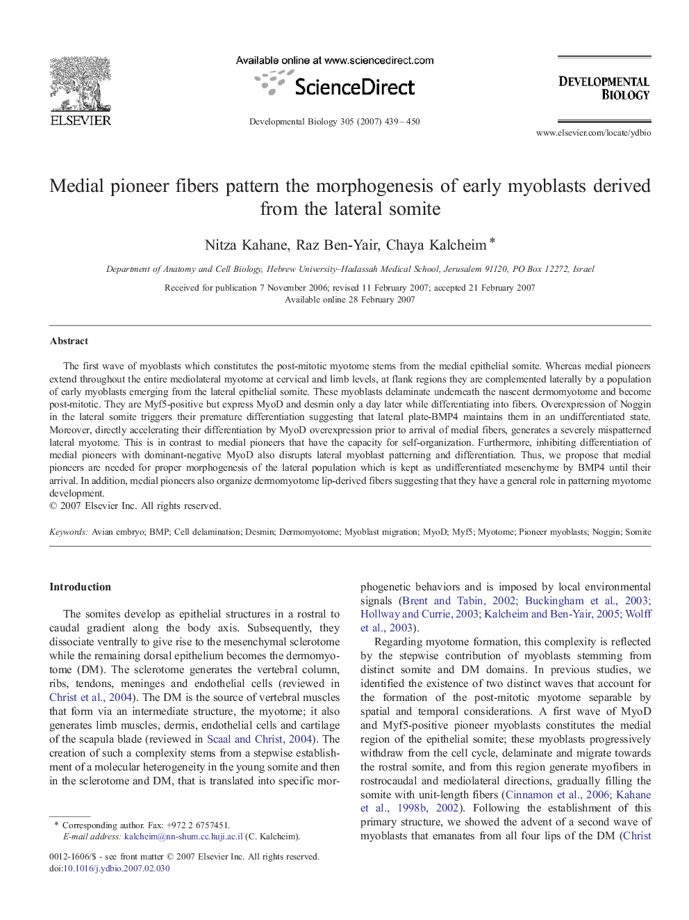 Medial pioneer fibers pattern the morphogenesis of early myoblasts derived from the lateral somite