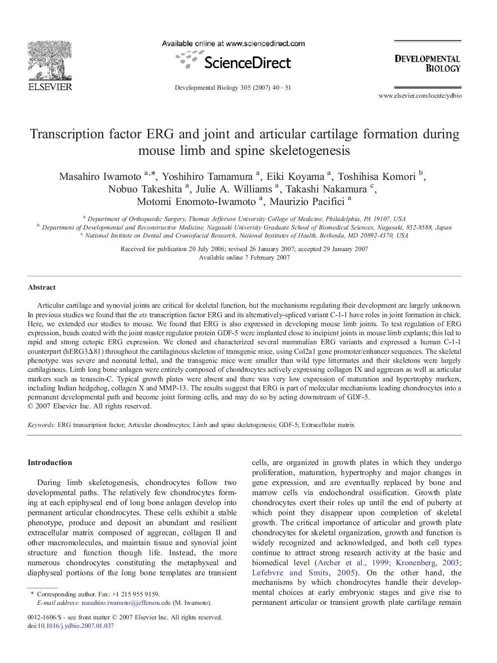 Transcription factor ERG and joint and articular cartilage formation during mouse limb and spine skeletogenesis