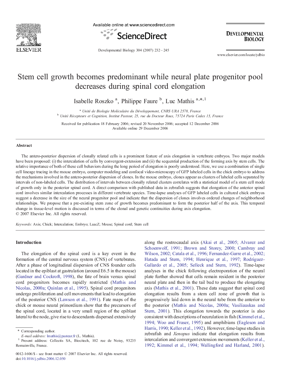 Stem cell growth becomes predominant while neural plate progenitor pool decreases during spinal cord elongation