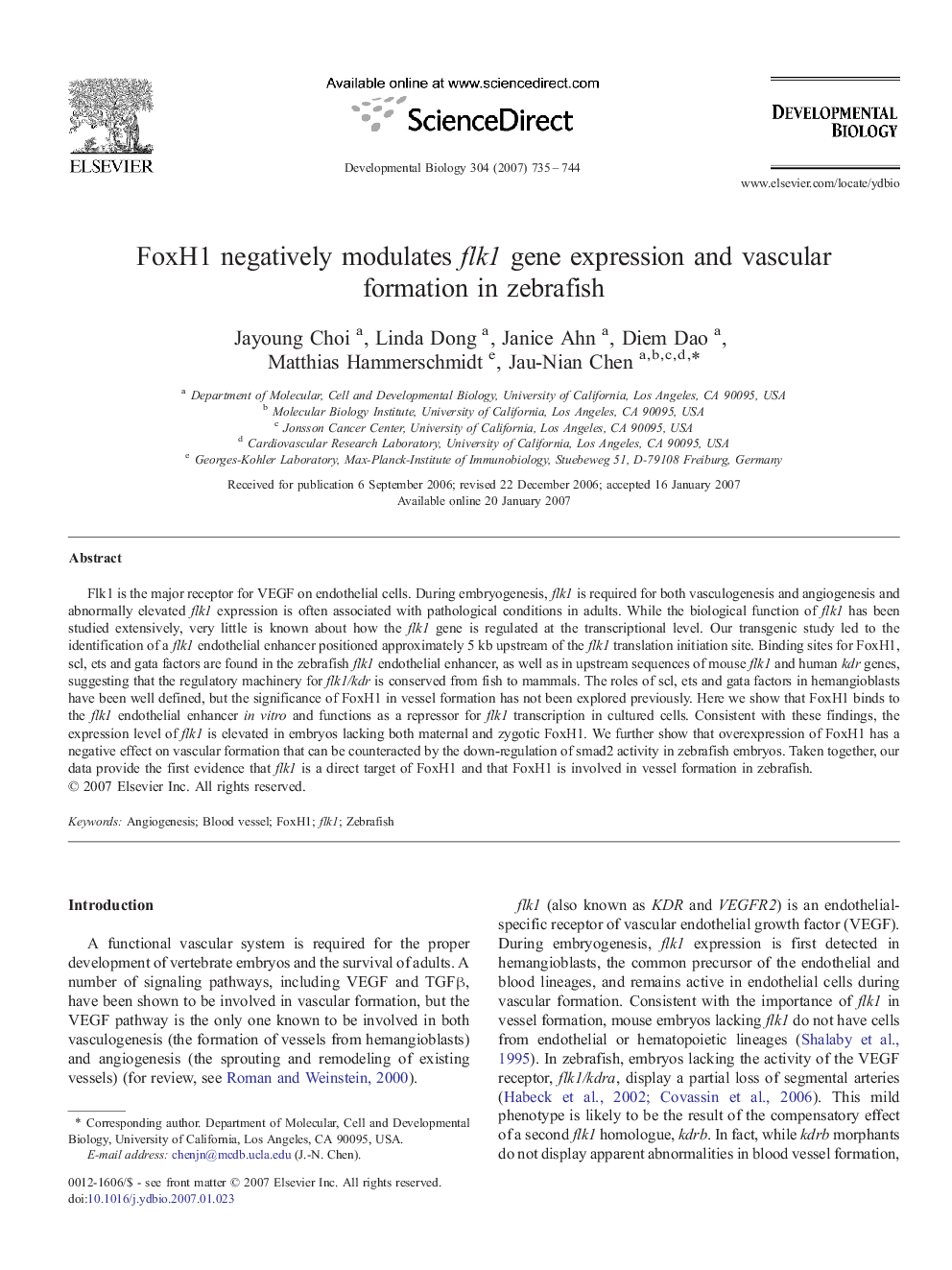 FoxH1 negatively modulates flk1 gene expression and vascular formation in zebrafish