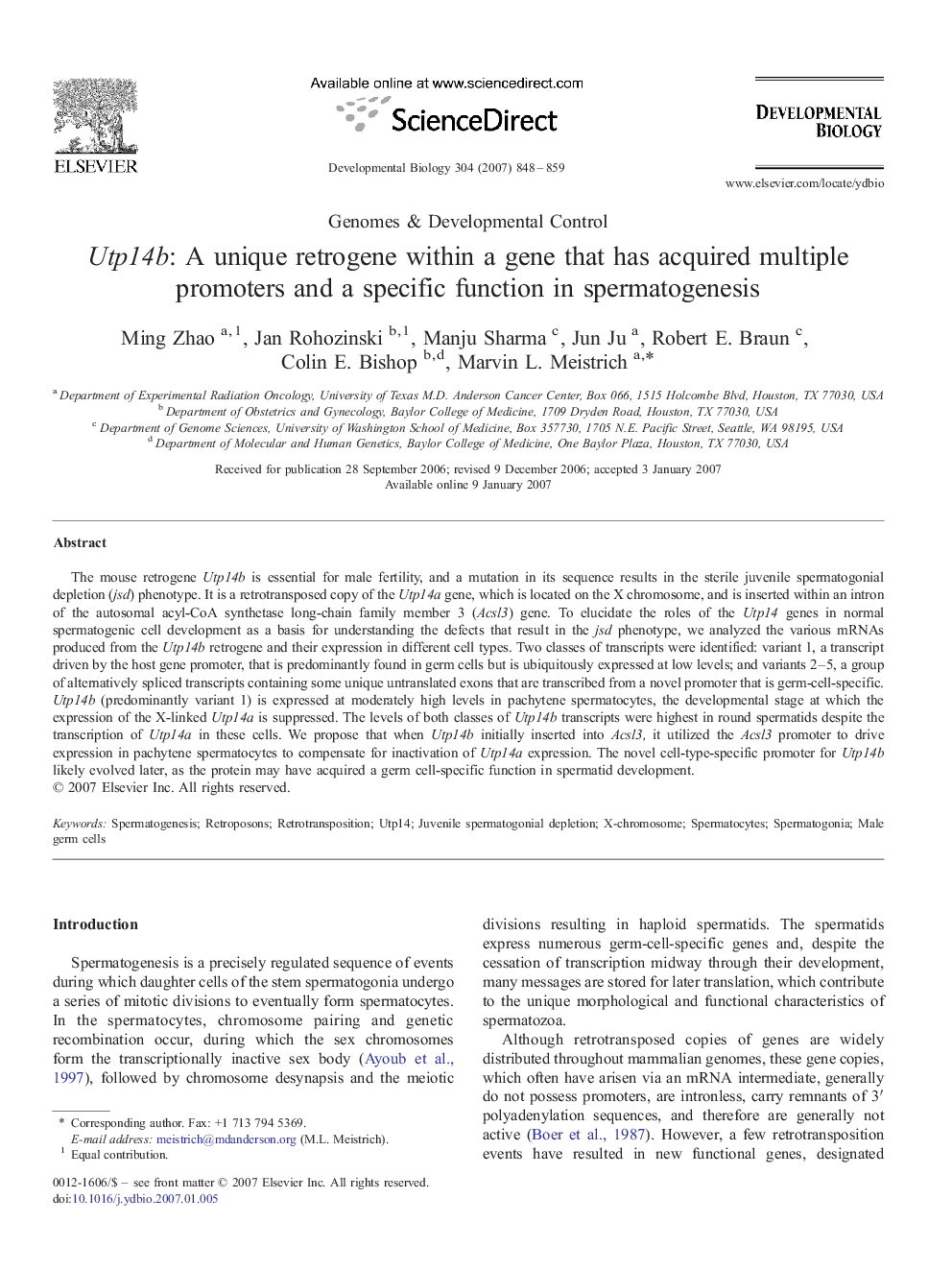 Utp14b: A unique retrogene within a gene that has acquired multiple promoters and a specific function in spermatogenesis