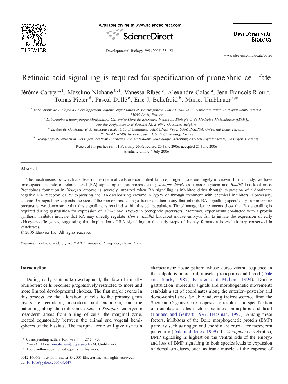 Retinoic acid signalling is required for specification of pronephric cell fate