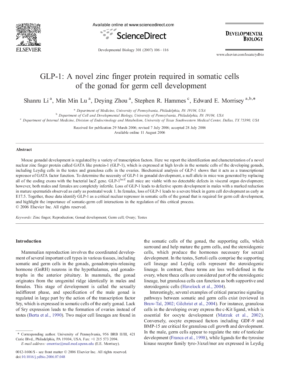 GLP-1: A novel zinc finger protein required in somatic cells of the gonad for germ cell development