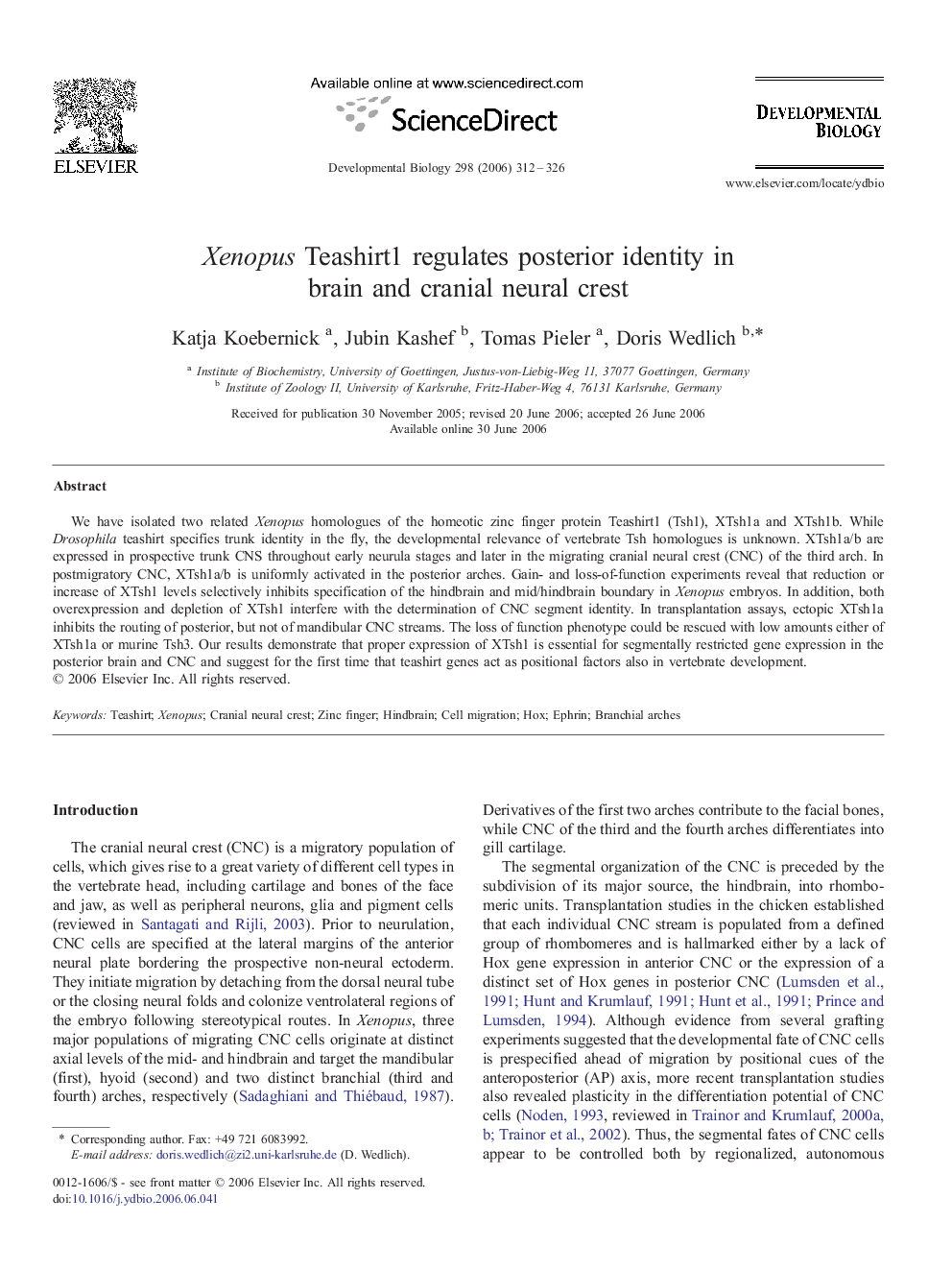 Xenopus Teashirt1 regulates posterior identity in brain and cranial neural crest