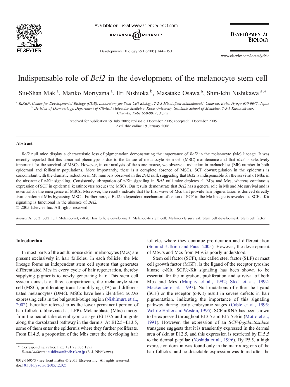 Indispensable role of Bcl2 in the development of the melanocyte stem cell