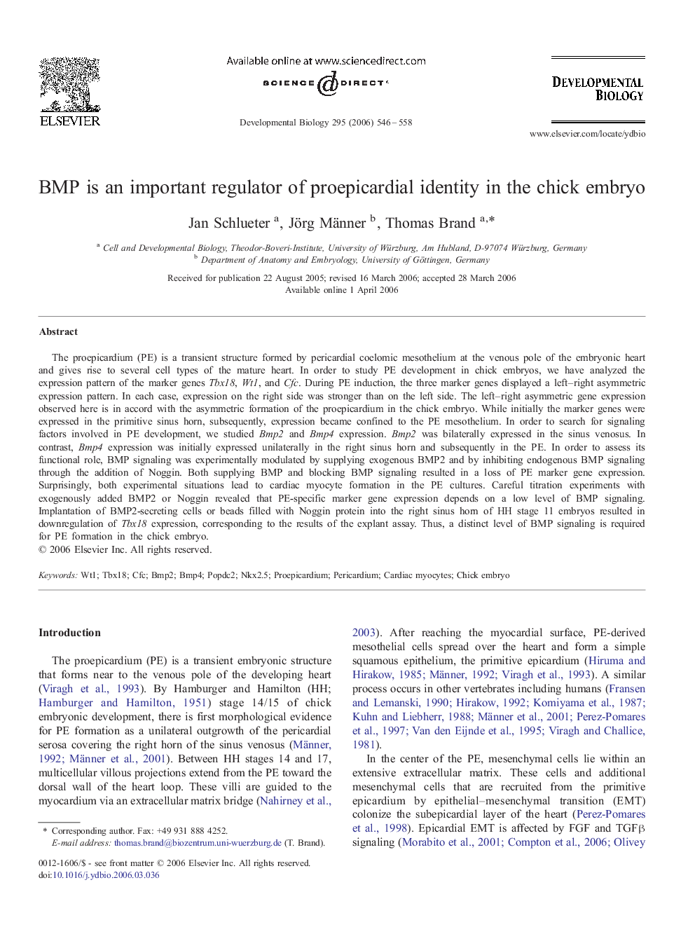 BMP is an important regulator of proepicardial identity in the chick embryo