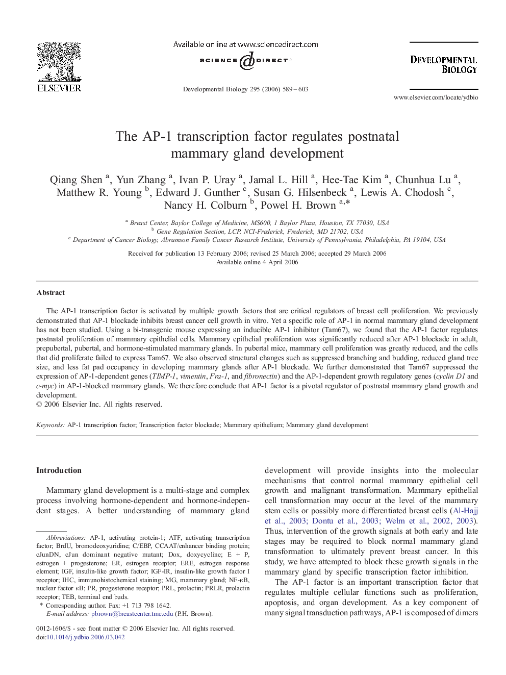 The AP-1 transcription factor regulates postnatal mammary gland development