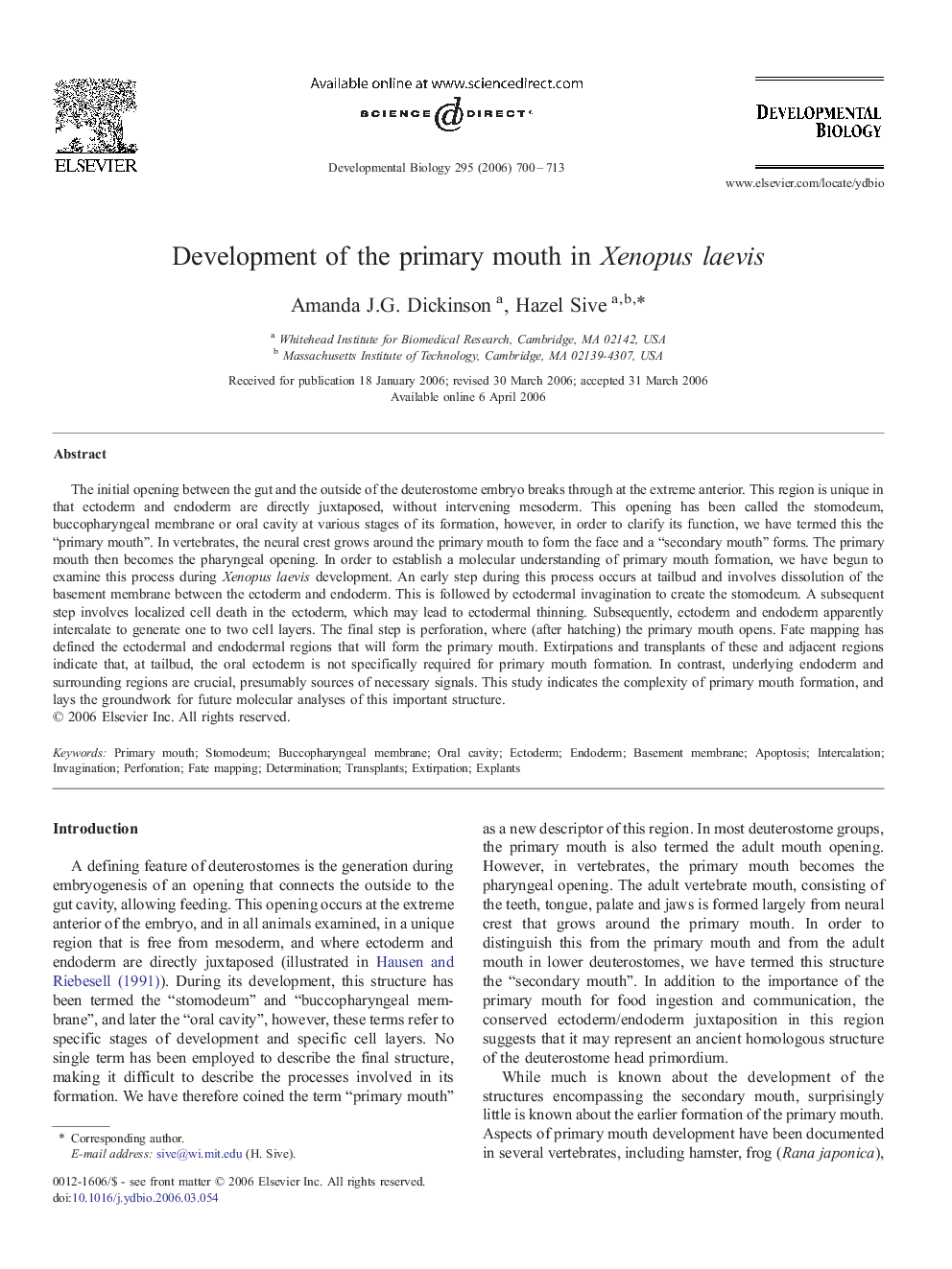 Development of the primary mouth in Xenopus laevis