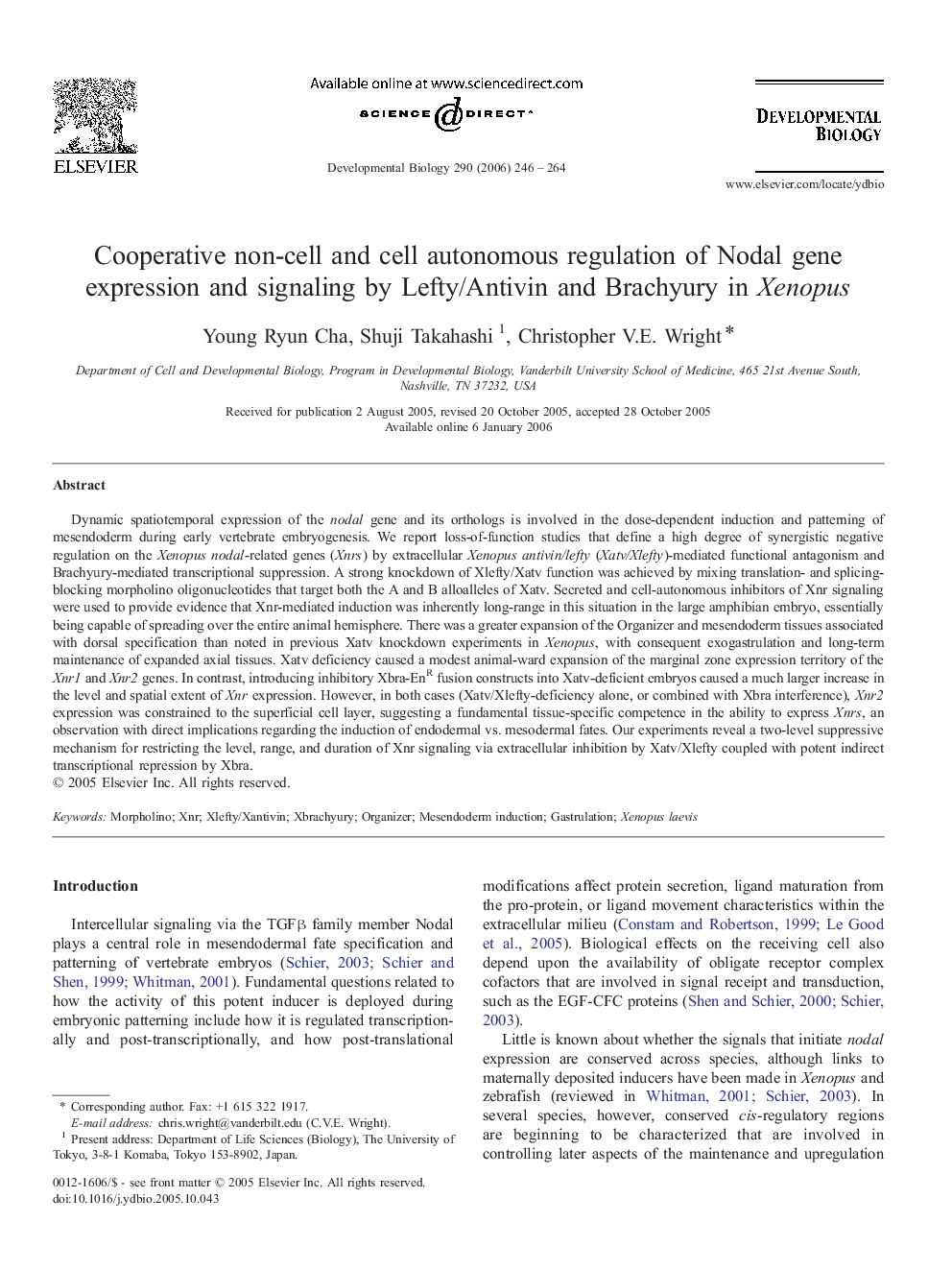 Cooperative non-cell and cell autonomous regulation of Nodal gene expression and signaling by Lefty/Antivin and Brachyury in Xenopus