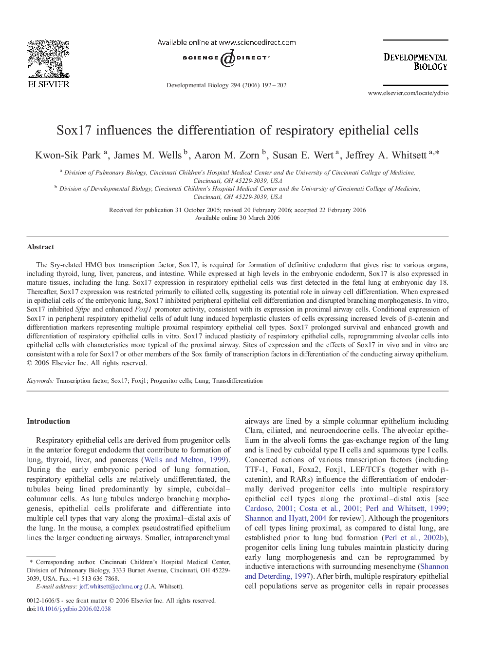 Sox17 influences the differentiation of respiratory epithelial cells