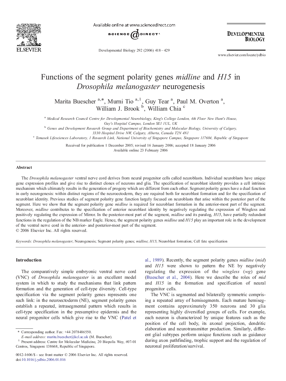 Functions of the segment polarity genes midline and H15 in Drosophila melanogaster neurogenesis